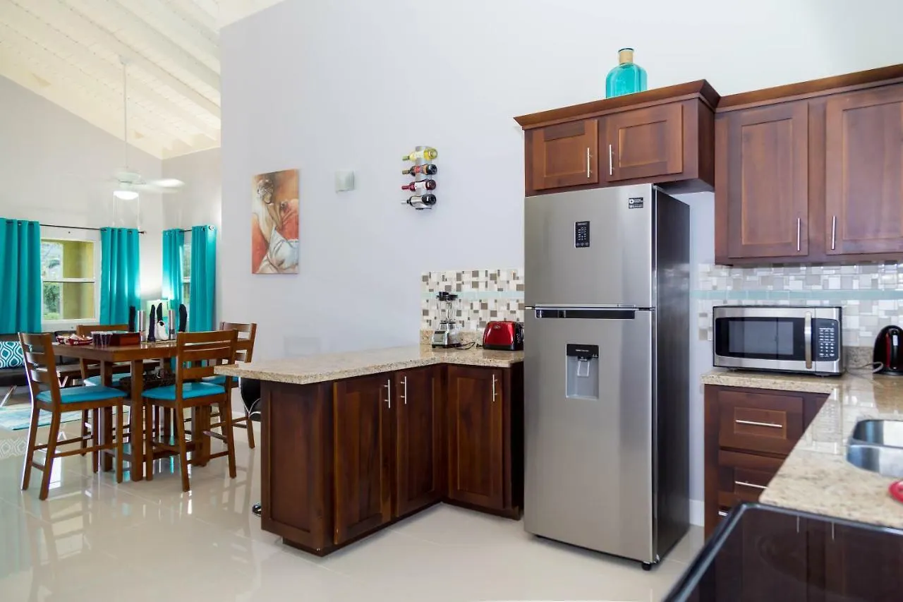 Villa The Princess Of Ocho Rios